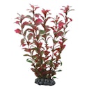Vorschaubild HOBBY Plant Ludwigia Aquarieneinrichtung