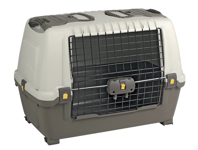 NOBBY Autobox Skudo Car 