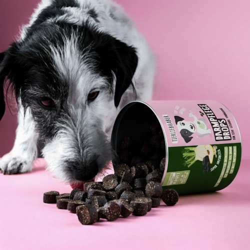 Tierliebhaber Darmpflege Drops