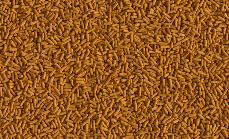 Tetra Cichlid Sticks