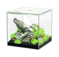 Aquatlantis Kubus 15 L Glasbecken
