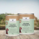 Vorschaubild Paws&Patch GELENK GEFÄHRTE 120g Junior & Adult