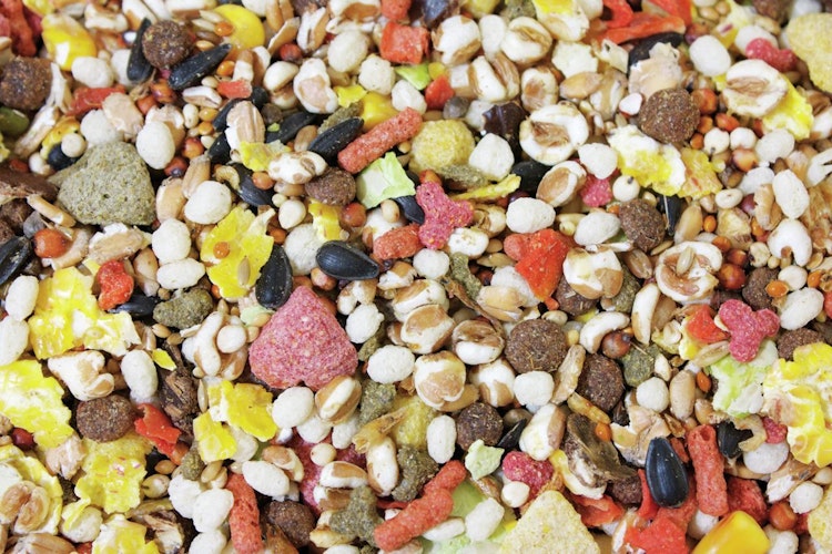 JR FARM Ratten-Schmaus Kleintierfutter