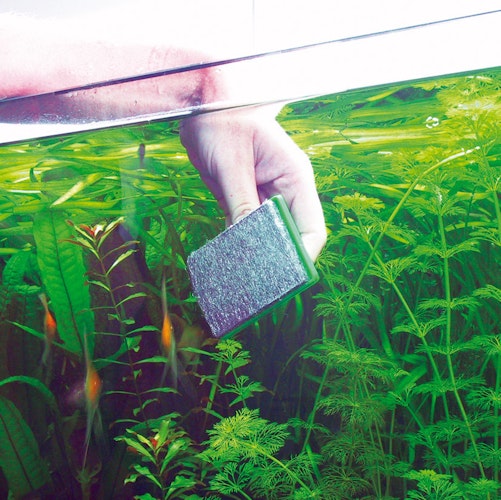 JBL Blanki Scheibenreiniger