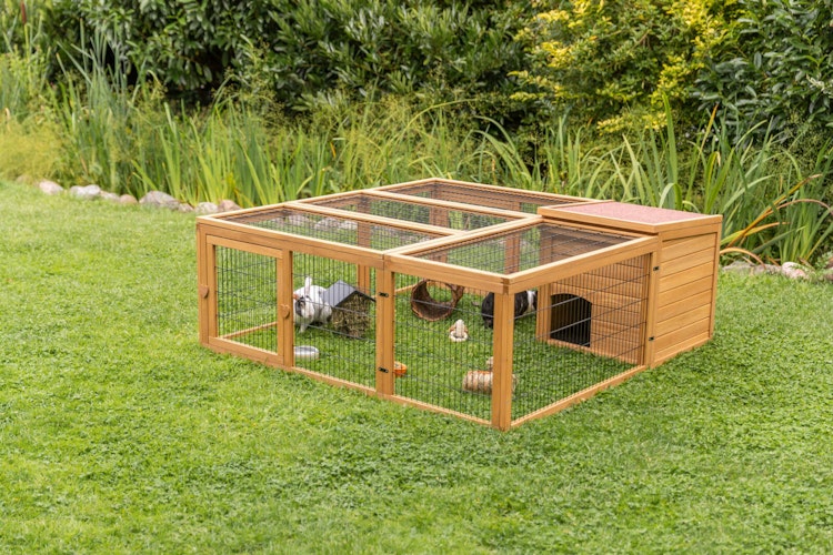 Freilaufgehege mit Abdeckung, Holz, 150 × 53 × 150 cm, dunkelbraun