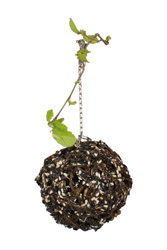 JR FARM Birds Schlemmer-Weidenkugel groß 300g Vogelsnack