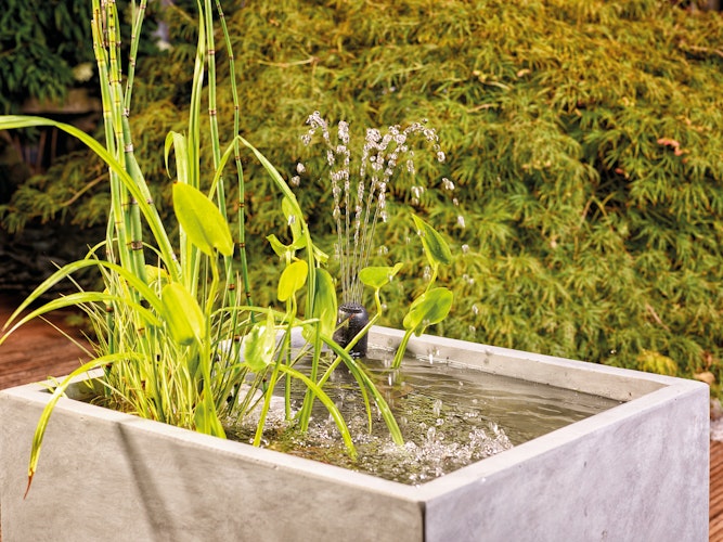 Oase Unterwasserfilter Filtral UVC 1500