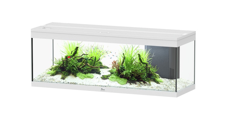 Aquatlantis Prestige 120 Aquarium-Set
