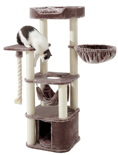 Nobby Kratzbaum Zada cappuccino 145 Centimeter