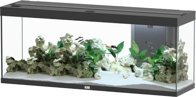 Aquatlantis Splendid Ultra 300 Schwarz Aquarium