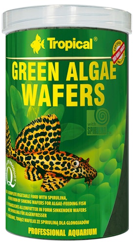 Tropical Green Algae Wafers Fischfutter
