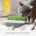 Vorschaubild GimCat Hydro-Gras 150g Nahrungsergänzung für Katzen