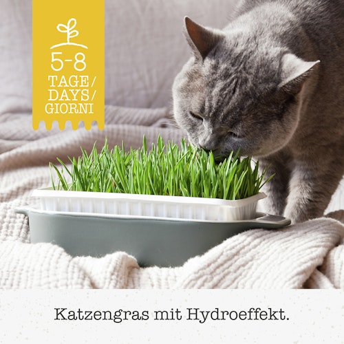 GimCat Hydro-Gras 150g Nahrungsergänzung für Katzen
