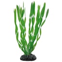 Vorschaubild HOBBY Plant Vallisneria Aquarieneinrichtung