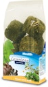 Vorschaubild JR FARM Grainless Health Vital-Blocks 300g Kleintiersnack