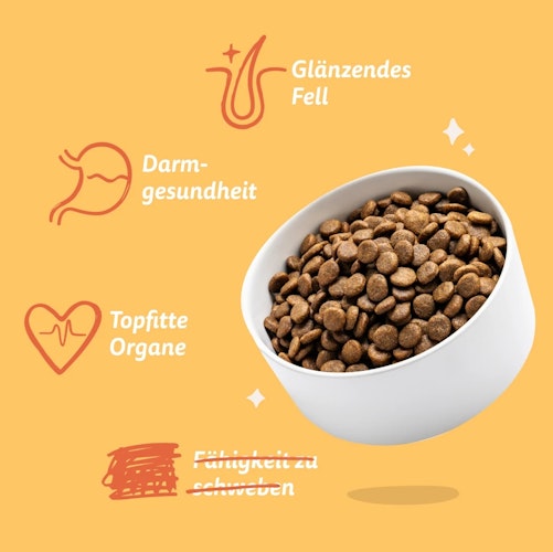 E&C 700g Frisches Freilaufhuhn + Mango