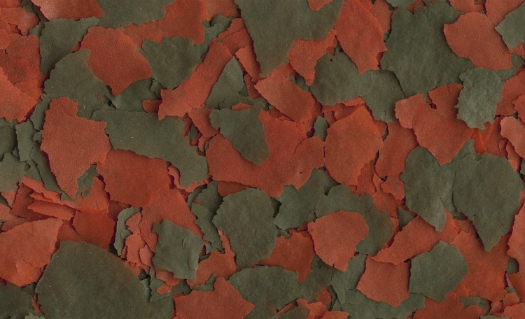 Tetra Cichlid XL Flakes