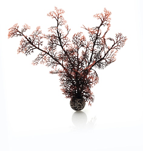 biOrb Hornkoralle mittelgroß dunkelrot (46071)