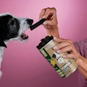 Vorschaubild Tierliebhaber Darmwohl Sticks