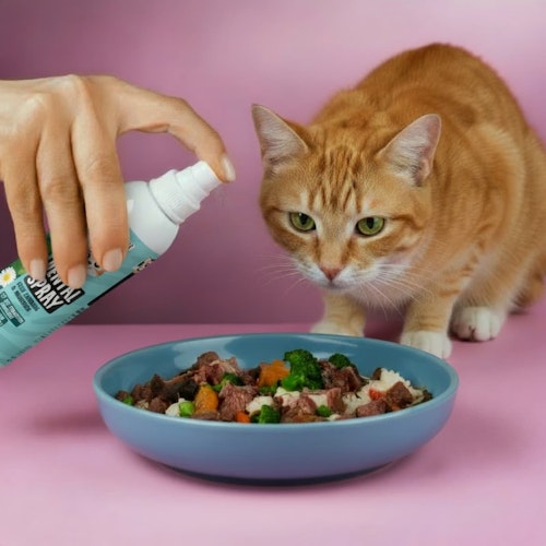 Tierliebhaber Dentalspray für Katzen