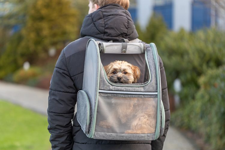 TRIXIE Rucksack Chloe, 39 × 43 × 27 cm, hellgrau