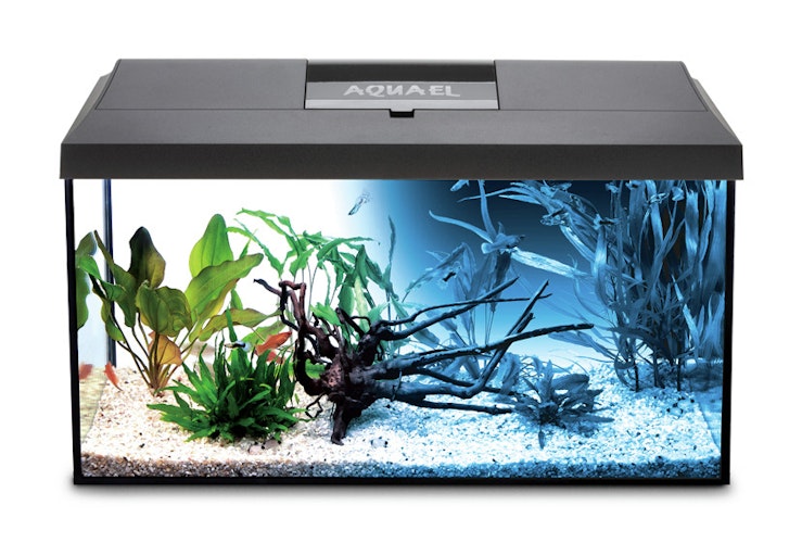 Aquael Aquarienset LEDDY Day&Night 75 schwarz 2.0 Aquarium Set