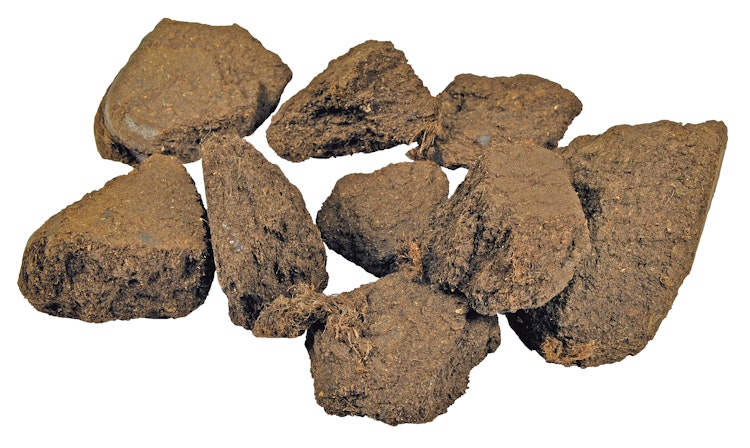 Oase Algenschutz AquaActiv AquaHumin