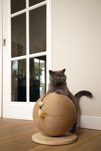Designed by Lotte Kratzball Balty aus Holz Katzenspielzeug