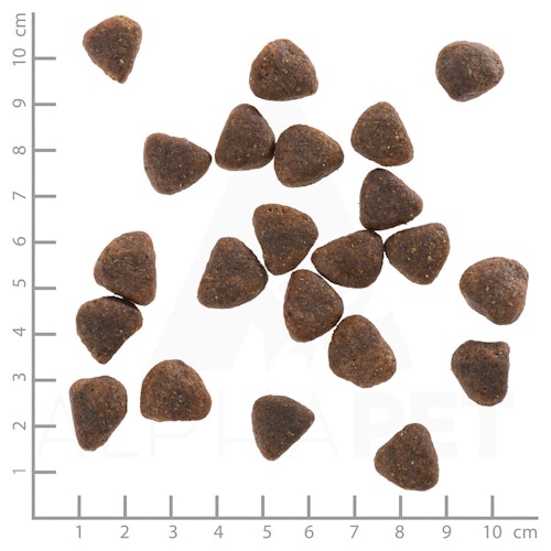 WOLFSBLUT Wide Plain Pferdefleisch mit Süßkartoffeln Hundetrockenfutter