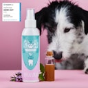 Vorschaubild Tierliebhaber Dentalspray