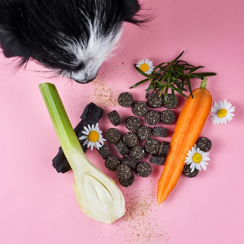 Tierliebhaber Darmpflege Drops