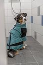 Vorschaubild TRIXIE Bade- und Hausoverall für Hunde, Frottee, petrol
