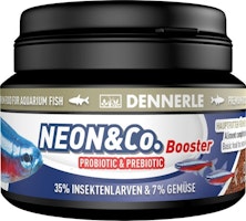 DENNERLE Neon & Co Booster (100 ml)