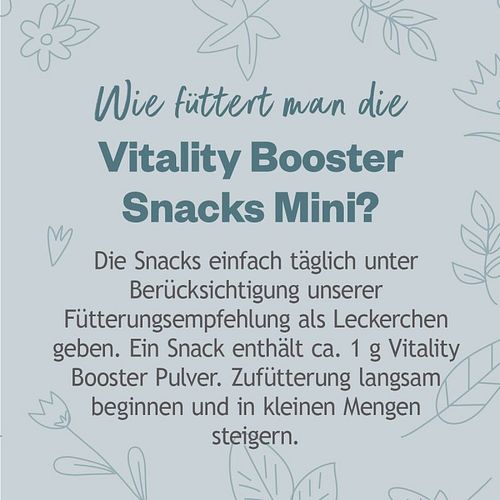 Hokamix 30 Snack Petit 400g Nahrungsergänzung