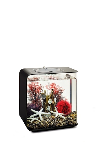 biOrb Decor Set 15L Red Forest (48442)