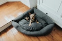 Vorschaubild HUNTER Ecksofa Livingston anthrazit Hundeschlafplatz