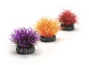 Vorschaubild biOrb Gewächsball Set 3 bunt (46061)