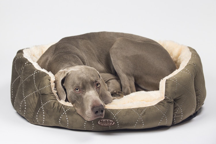 Nobby CENO oval 45x40x19cm Hunde-/ Katzenkomfortbett