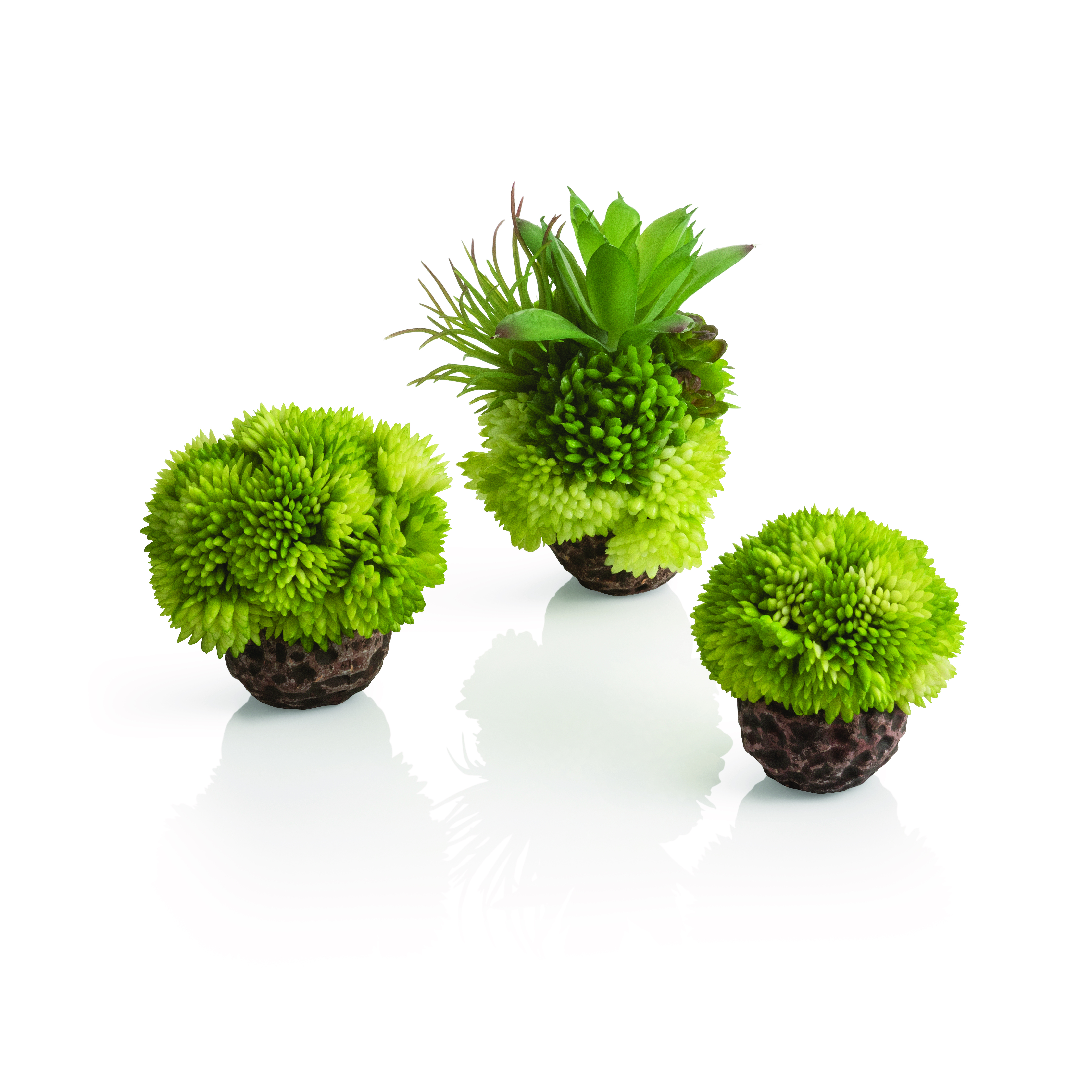 biOrb Korallenball Set grün