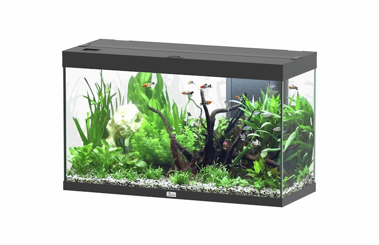 aquatlantis Splendid 200 schwarz Aquarium mit Unterschrank
