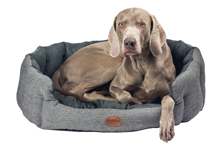 Nobby Komfortbett JOSI 86 x 70 x 24cm grau