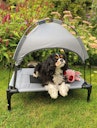 Vorschaubild Nobby Outdoor Hundeliege Chill Cool mit Sonnendach Hundeschlafplatz