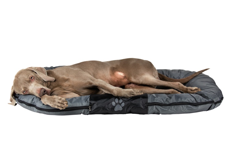 Nobby Kissen Classic RENO 103 x 76 x 11cm