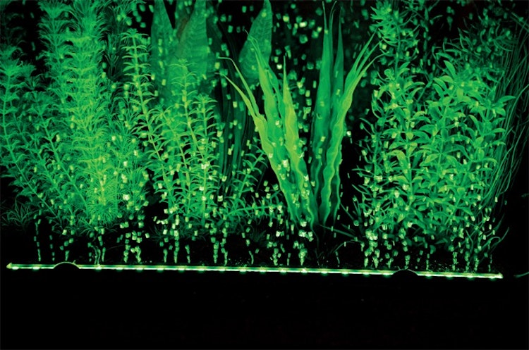 HOBBY Bubble Air LED colour & moon Aquarienbeleuchtung