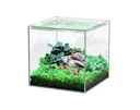 Vorschaubild Aquatlantis Kubus 5 L Glasbecken