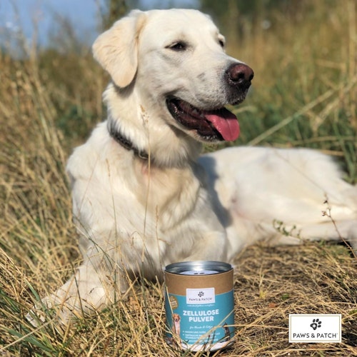 Paws&Patch ZELLULOSE PULVER 150g