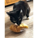 Vorschaubild Aumüller Faultier Fips Baldrian-/ Dinkelkatzenspielkissen