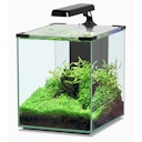 Vorschaubild Aquatlantis Nano Cubic 30 LED Aquarium-Set