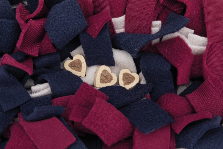 TRIXIE Activity Schnüffelteppich 50x34cm