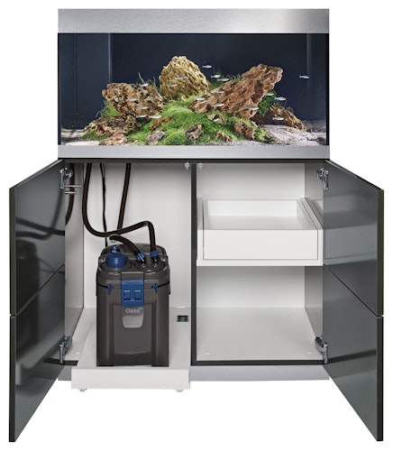 Oase Außenfilter BioMaster Thermo 250